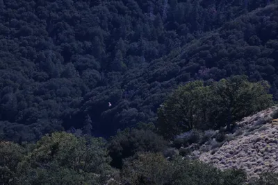 DSC_2238 (Large).JPG